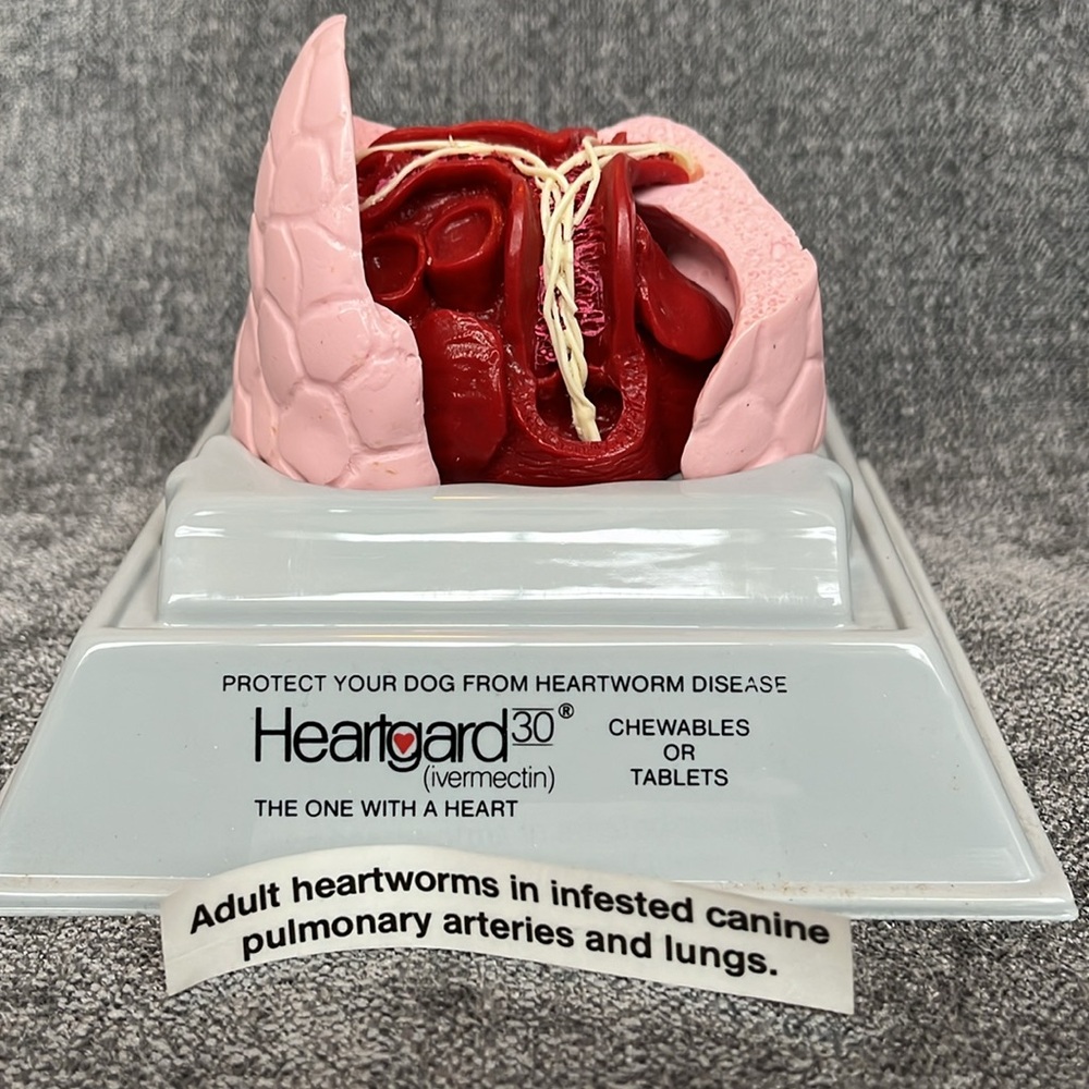 New Heartworm Model - Picture 4 of 8
